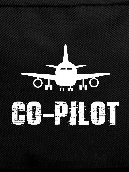 Co-pilot