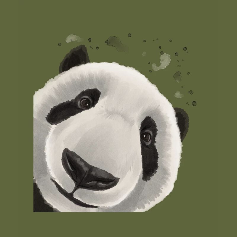 Curious Panda