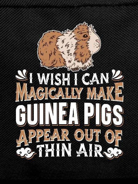 Guinea pig Guinea pig