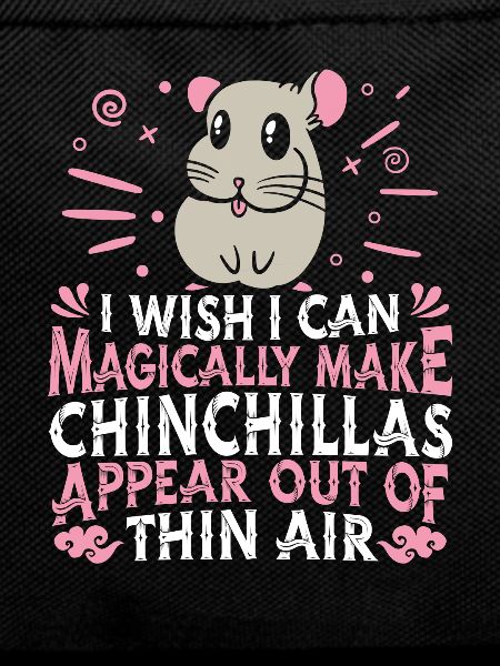 Chinchilla