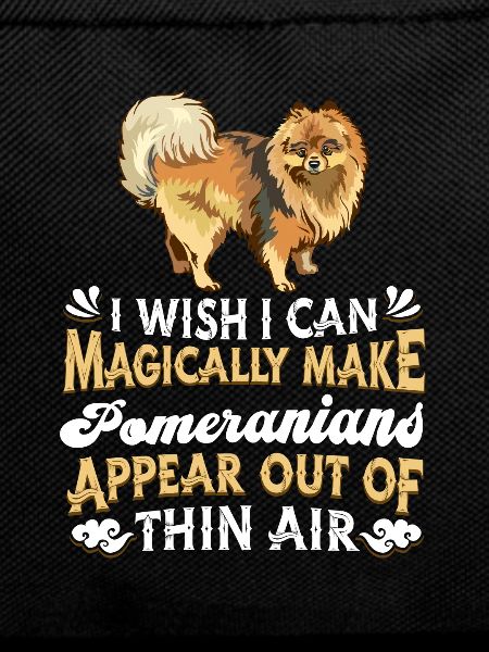 Pomeranian Dog