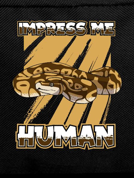 Boa Constrictor Snake