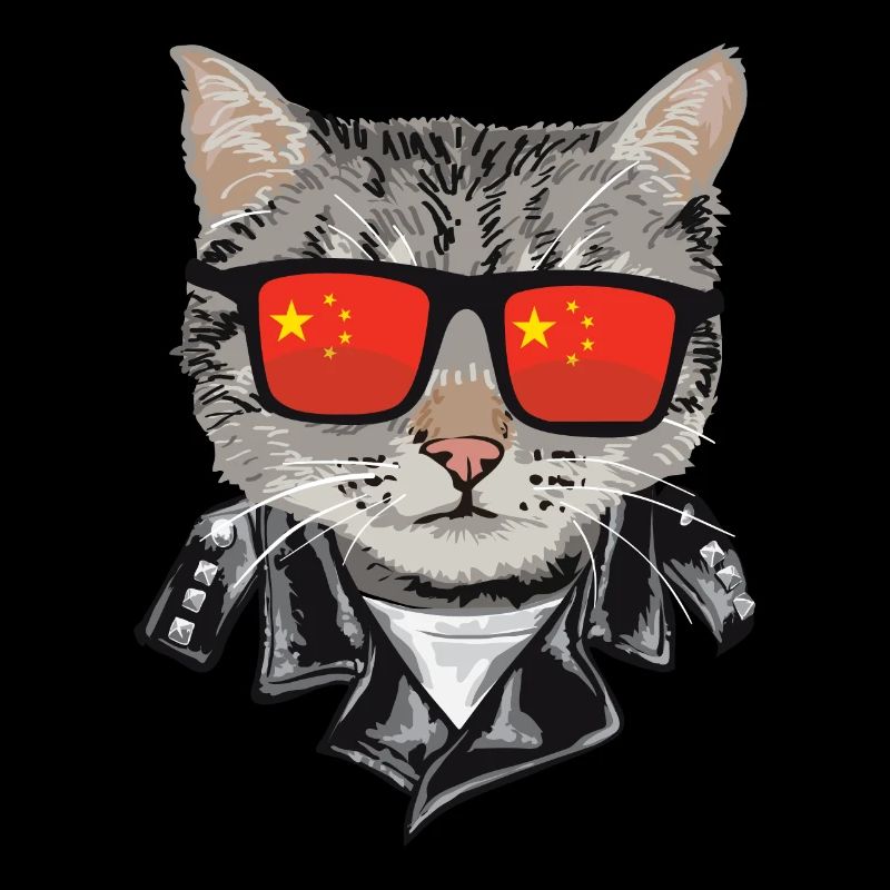 Cat China Flag Sunglasses