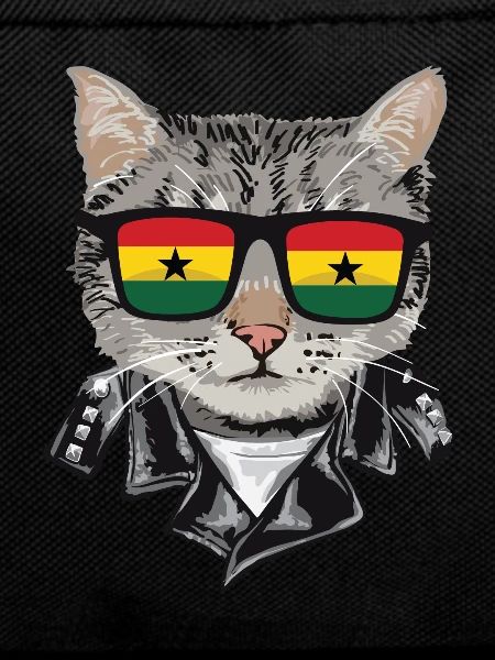 Cat Gala Flag Sunglasses