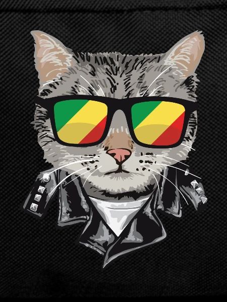 Cat Sunglasses with Congo Flag