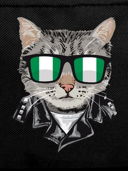 Cats Nigeria Flag Sunglasses