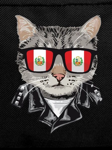 Cat sunglasses with Peruvian flag