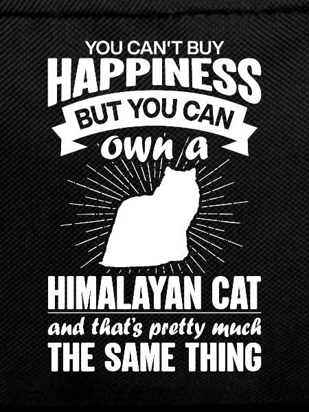 Can buy a Himalayan cat
