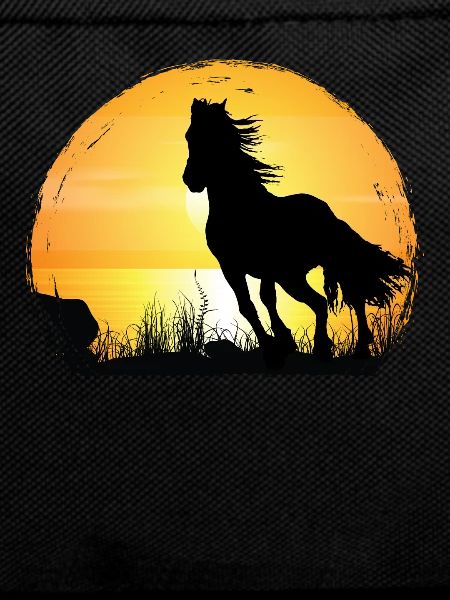 Sunset - Arabian Horse