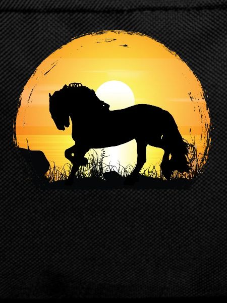 Sunset - Frisian Horse