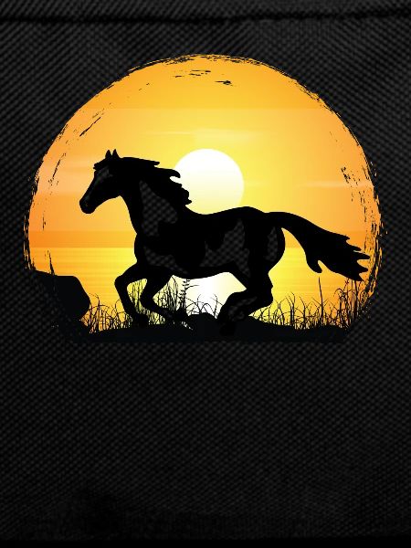 Sunset - Paint Horse
