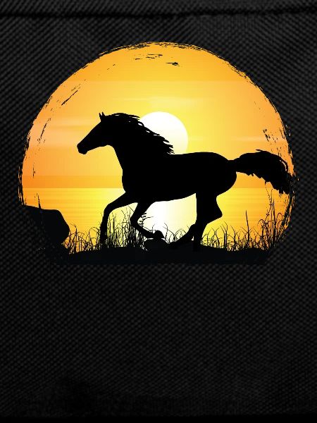 Sunset - Thoroughbred Horse