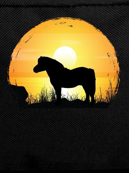 Sunset - Shetland Pony Horse