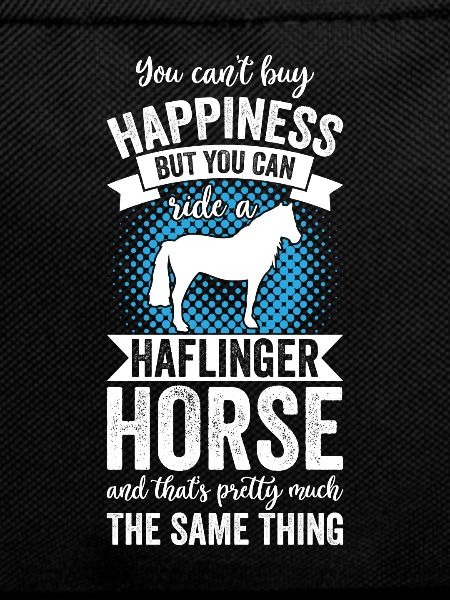 Reiten - Haflinger-Pferd