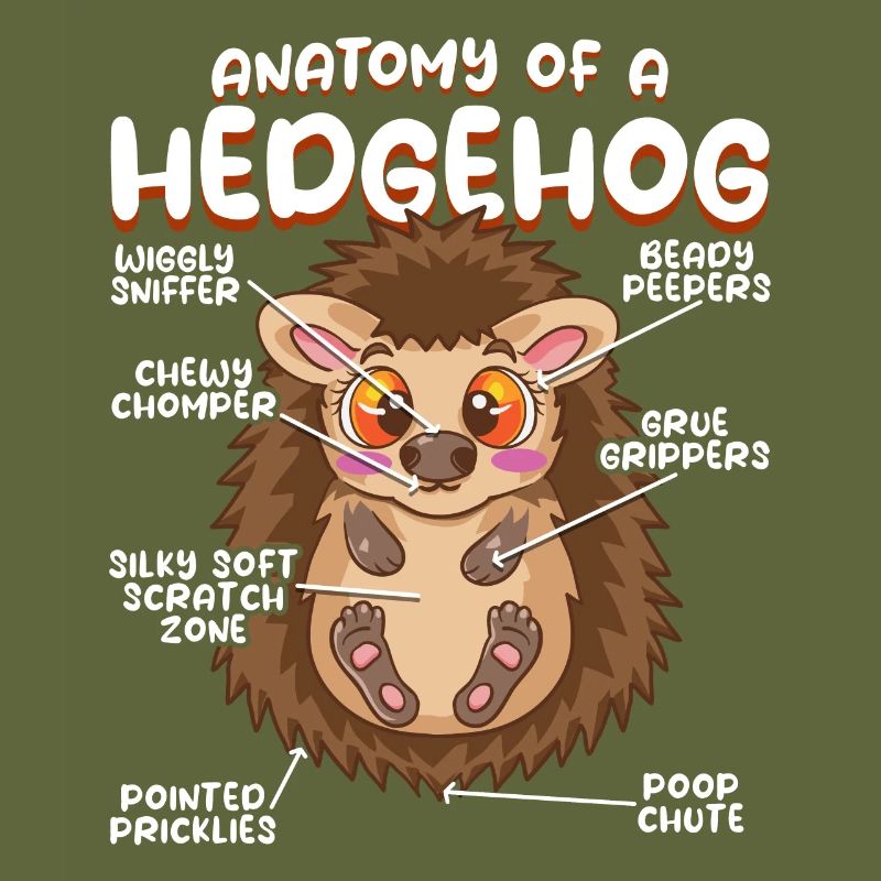 Anatomie eines lustigen Igels