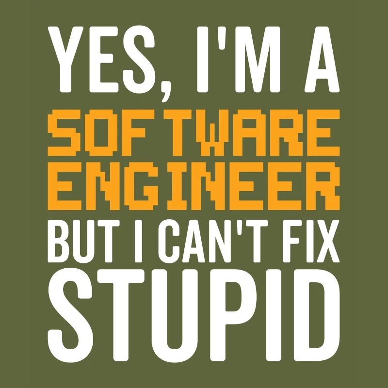 Stupid Software Engineer