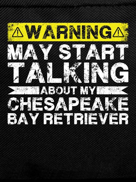 Speaking of Chesapeake Bay Retrievers