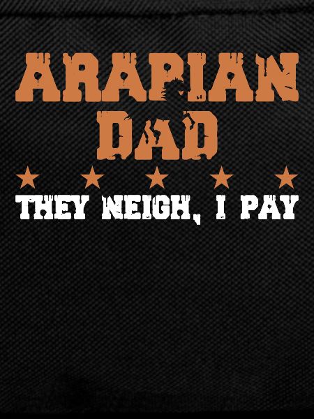 Horse's father - Arab