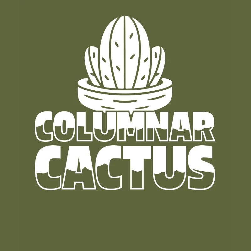 Jardin de cactus