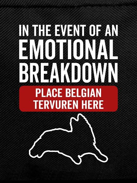 Emotional - Belgian dog Tervuren