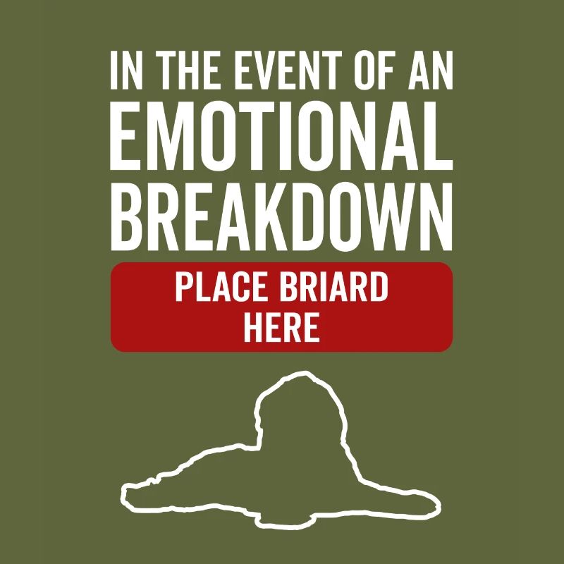 Emotional - Dog Briard