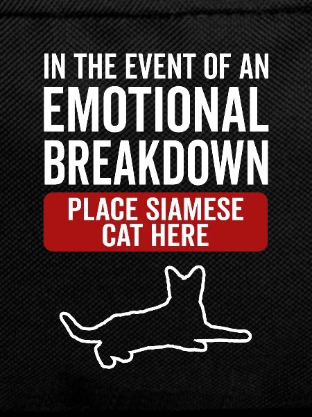 Emotional - Siamese cat