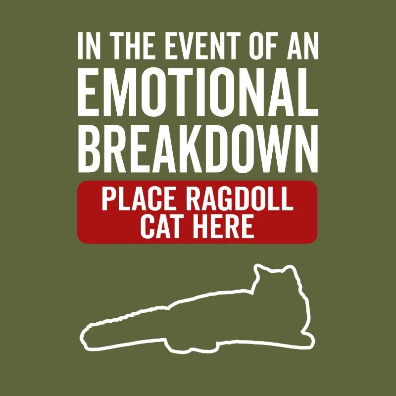 Emotional - Ragdoll Cat