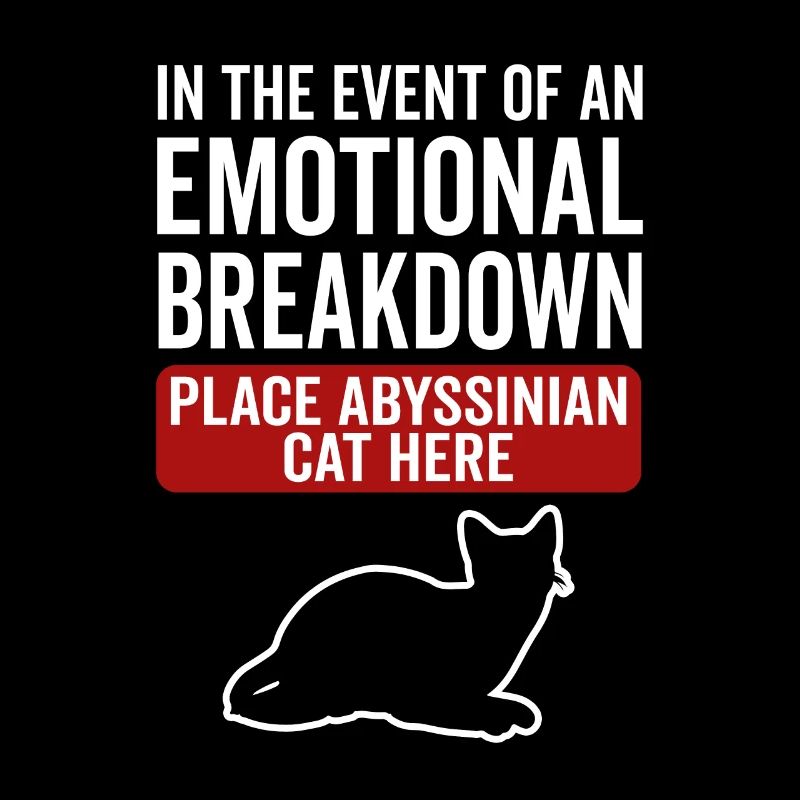 Emotional - Abessinische Katze