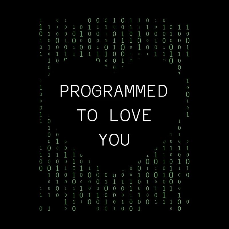 Developer Coder Programmer