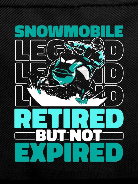 Snowmobile Snowmobiles Retired
