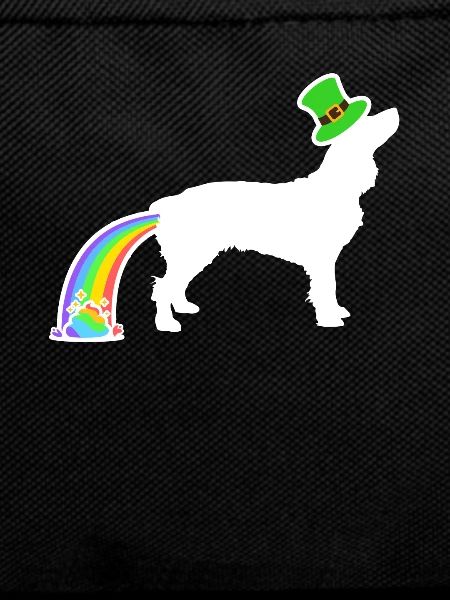 St. Patricks Hund - Boykin Spaniel