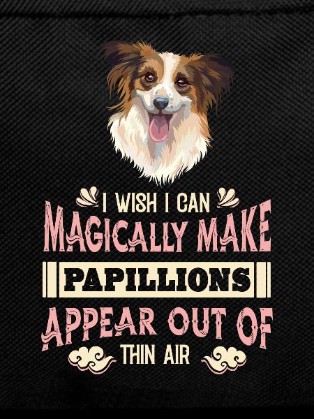 Papillon Funny