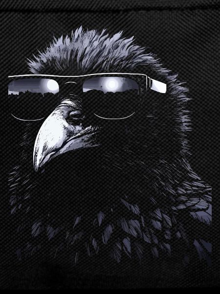 Cool Crow Sunglasses