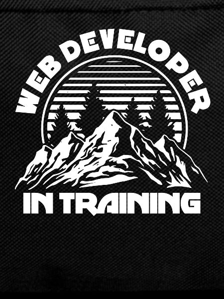 Web Developer Web Developer Training