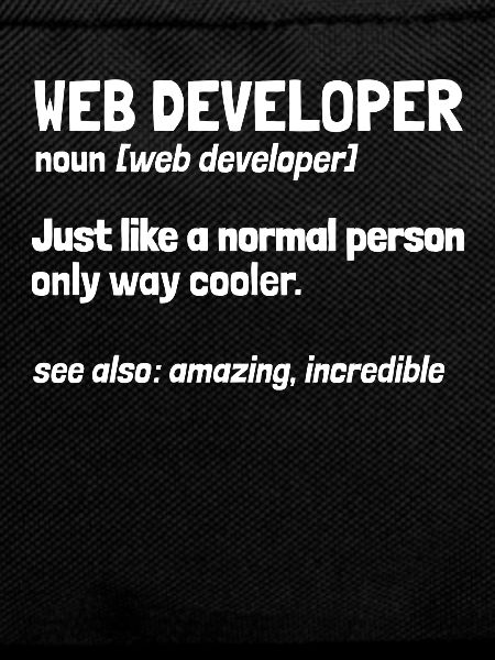 Web Entwickler Webdeveloper