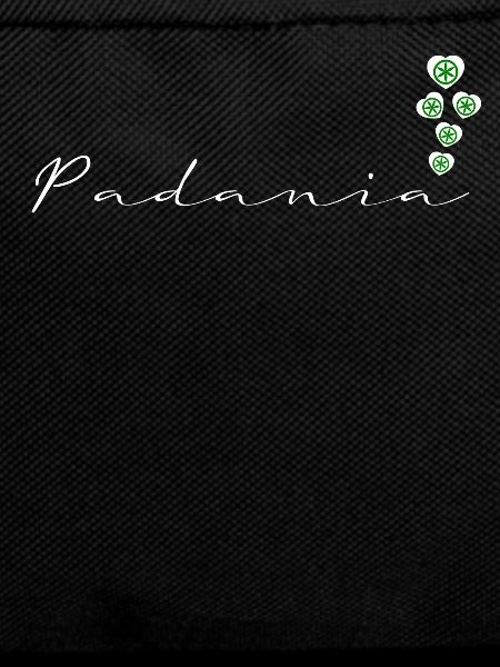 Padanie