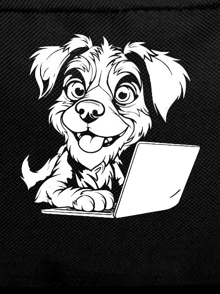 Web Entwickler Webdeveloper