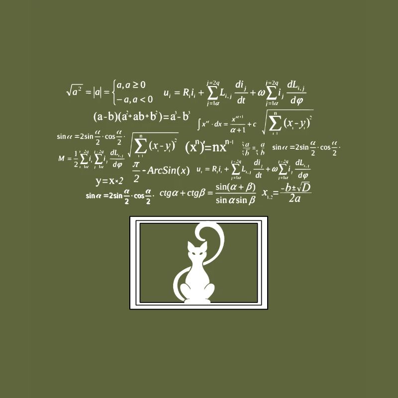 Physics Phyker Cat Quantum Physics