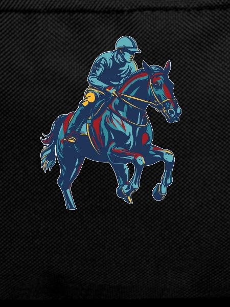 Horse Equestrian Endurance Riding