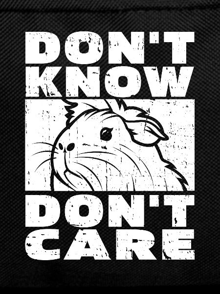 Guinea Pig Guinea Pig Funny