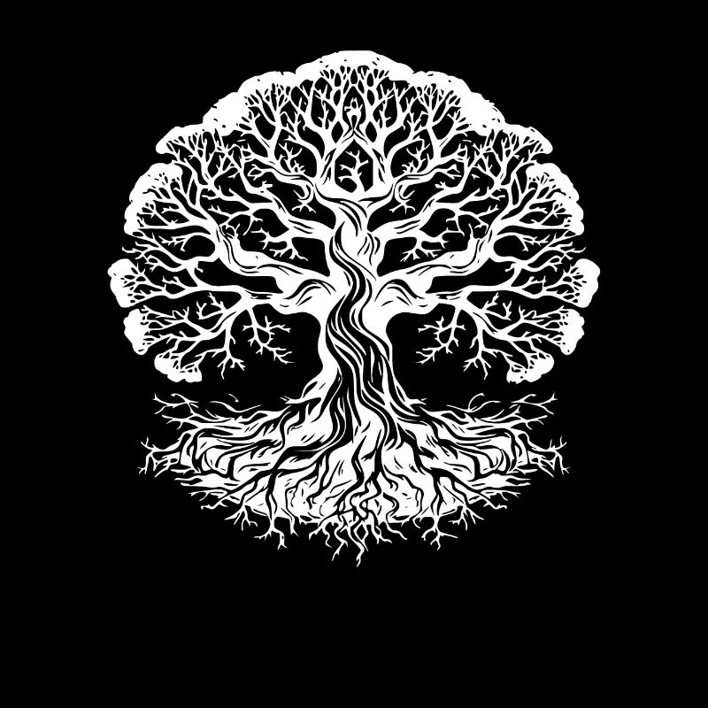 Racines d’arbres