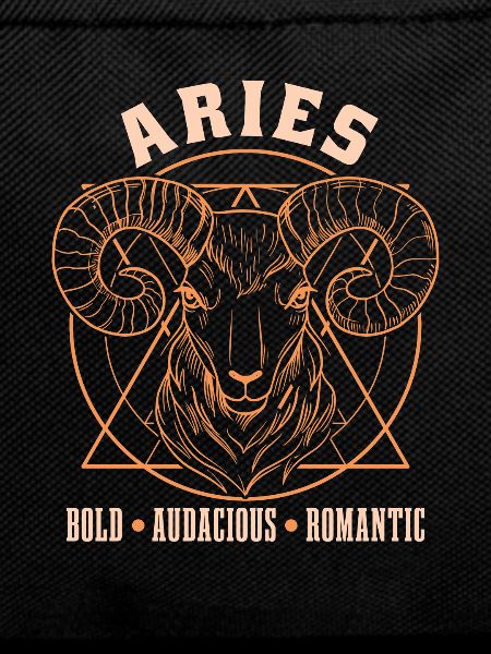 Aries Zodiac Signs Features