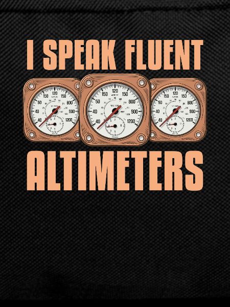 Flugingenieur