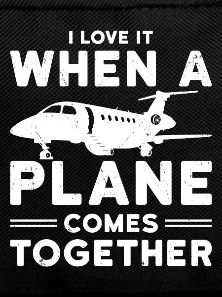 Airline Pilot Airplane Airline Flight