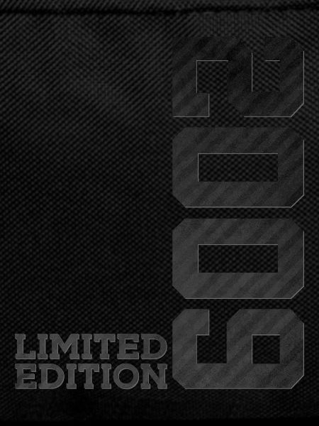 17TH BIRTHDAY LIMITED EDITION 2009