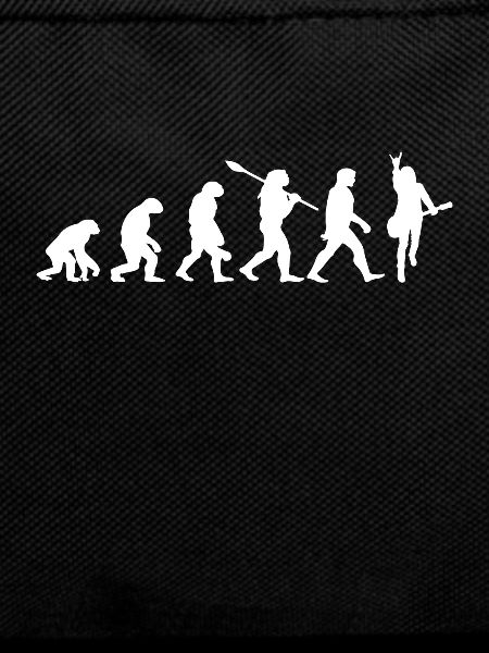 Rock'n'Roll Evolution for Musicians