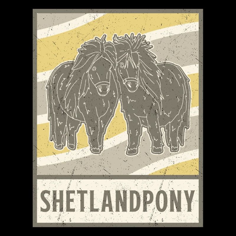Shetty Shetland Pony Reiterin Mädchen Sport