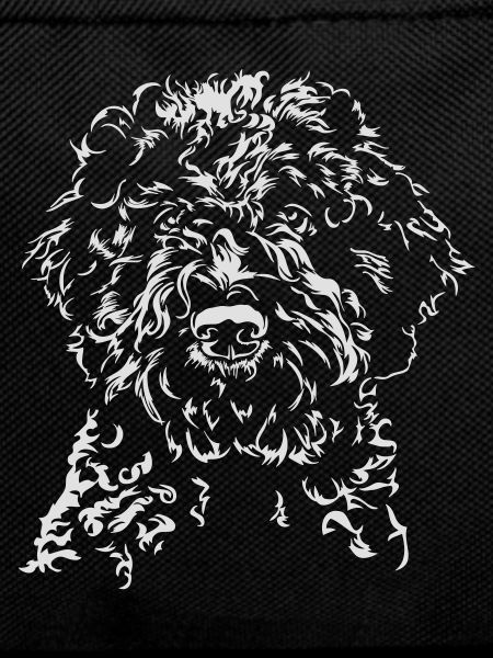 LAGOTTO ROMAGNOLO Portrait Wilsigns
