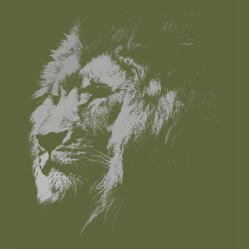 Wild lion