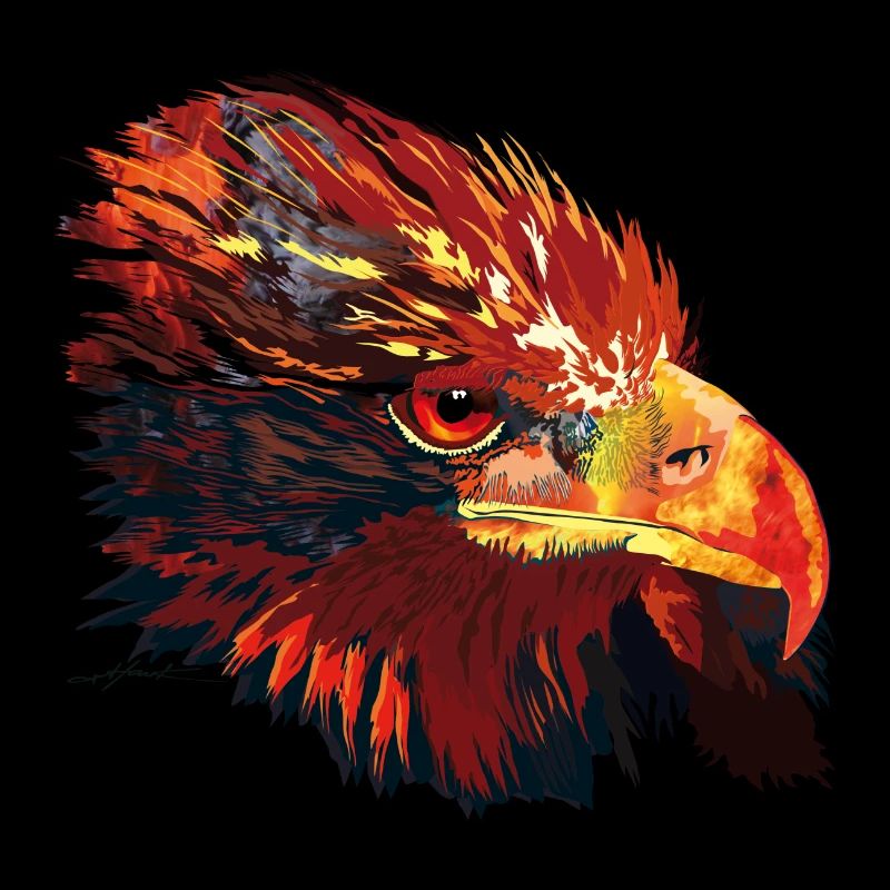 Tête d'aigle arthawk
